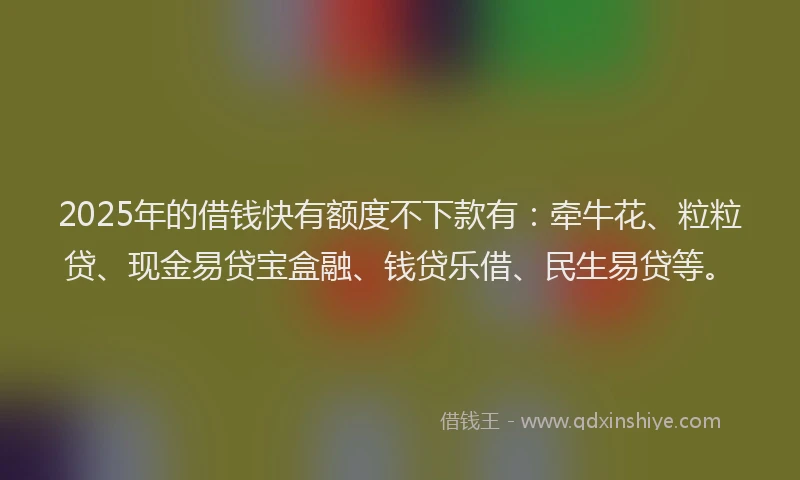 2025年的借钱快有额度不下款有：牵牛花、粒粒贷、现金易贷宝盒融、钱贷乐借、民生易贷等。