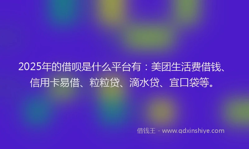 2025年的借呗是什么平台有：美团生活费借钱、信用卡易借、粒粒贷、滴水贷、宜口袋等。