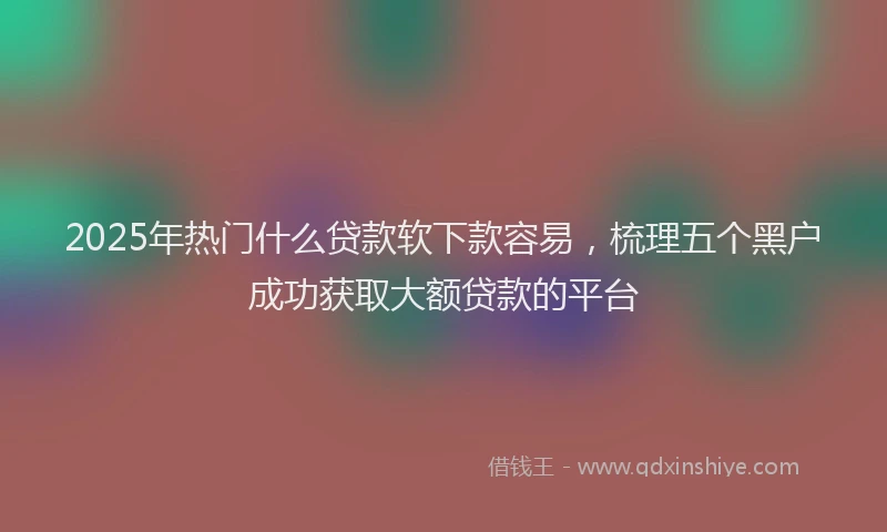 2025年热门什么贷款软下款容易，梳理五个黑户成功获取大额贷款的平台