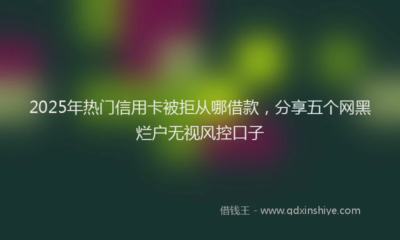 2025年热门信用卡被拒从哪借款，分享五个网黑烂户无视风控口子