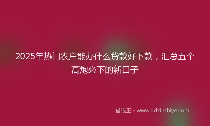2025年热门农户能办什么贷款好下款，汇总五个高炮必下的新口子