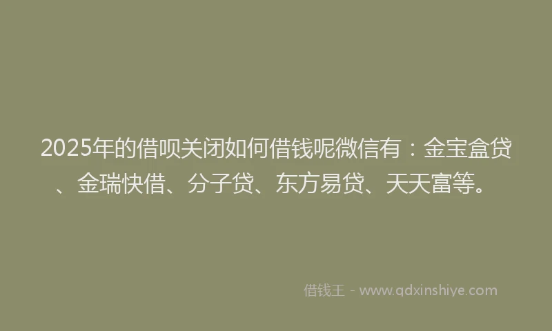2025年的借呗关闭如何借钱呢微信有：金宝盒贷、金瑞快借、分子贷、东方易贷、天天富等。