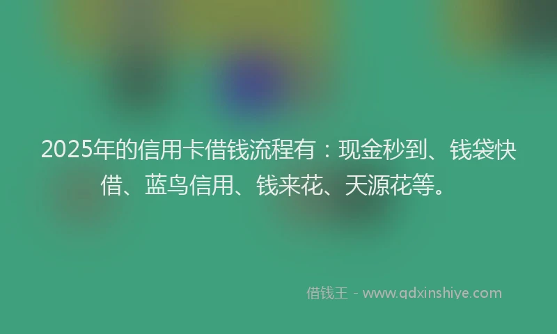 2025年的信用卡借钱流程有：现金秒到、钱袋快借、蓝鸟信用、钱来花、天源花等。