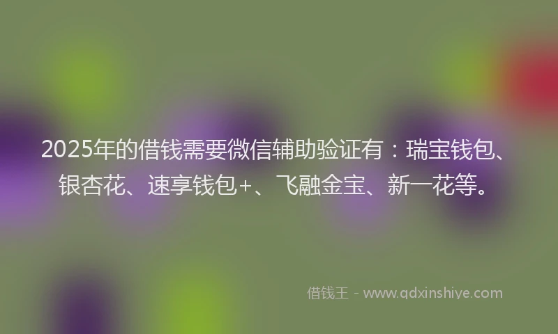 2025年的借钱需要微信辅助验证有：瑞宝钱包、银杏花、速享钱包+、飞融金宝、新一花等。