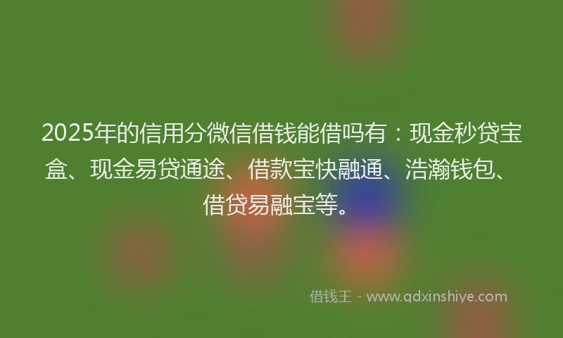 2025年的信用分微信借钱能借吗有：现金秒贷宝盒、现金易贷通途、借款宝快融通、浩瀚钱包、借贷易融宝等。
