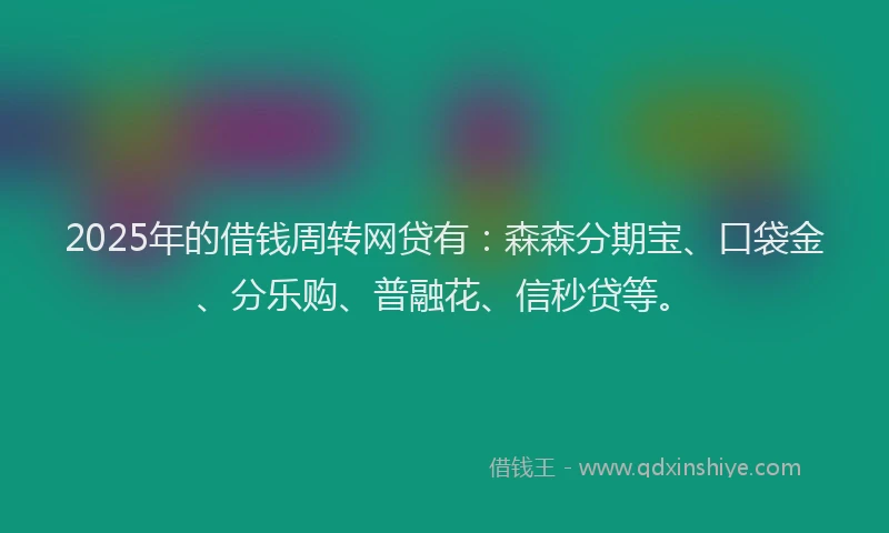 2025年的借钱周转网贷有：森森分期宝、口袋金、分乐购、普融花、信秒贷等。