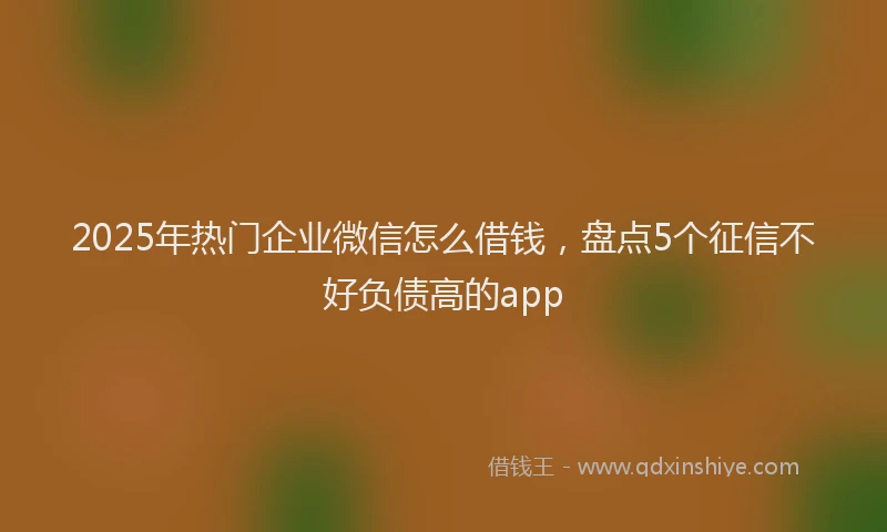 2025年热门企业微信怎么借钱，盘点5个征信不好负债高的app