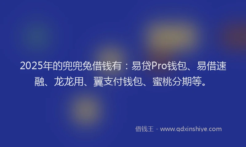 2025年的兜兜兔借钱有：易贷Pro钱包、易借速融、龙龙用、翼支付钱包、蜜桃分期等。
