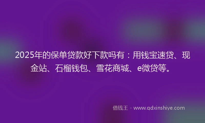 2025年的保单贷款好下款吗有：用钱宝速贷、现金站、石榴钱包、雪花商城、e微贷等。