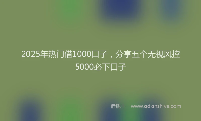 2025年热门借1000口子，分享五个无视风控5000必下口子