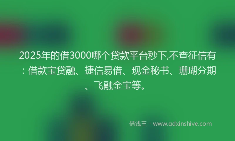 2025年的借3000哪个贷款平台秒下,不查征信有：借款宝贷融、捷信易借、现金秘书、珊瑚分期、飞融金宝等。