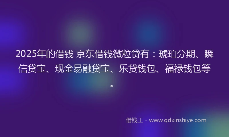 2025年的借钱 京东借钱微粒贷有：琥珀分期、瞬信贷宝、现金易融贷宝、乐贷钱包、福禄钱包等。