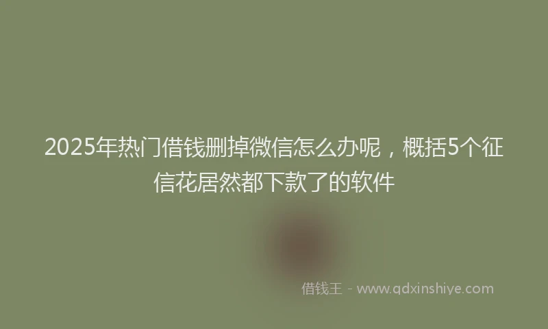 2025年热门借钱删掉微信怎么办呢，概括5个征信花居然都下款了的软件