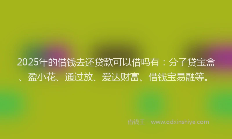 2025年的借钱去还贷款可以借吗有：分子贷宝盒、盈小花、通过放、爱达财富、借钱宝易融等。