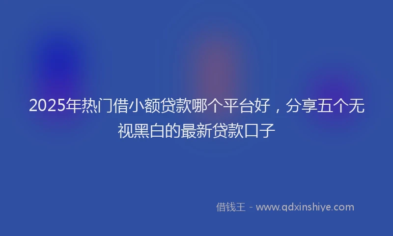2025年热门借小额贷款哪个平台好，分享五个无视黑白的最新贷款口子