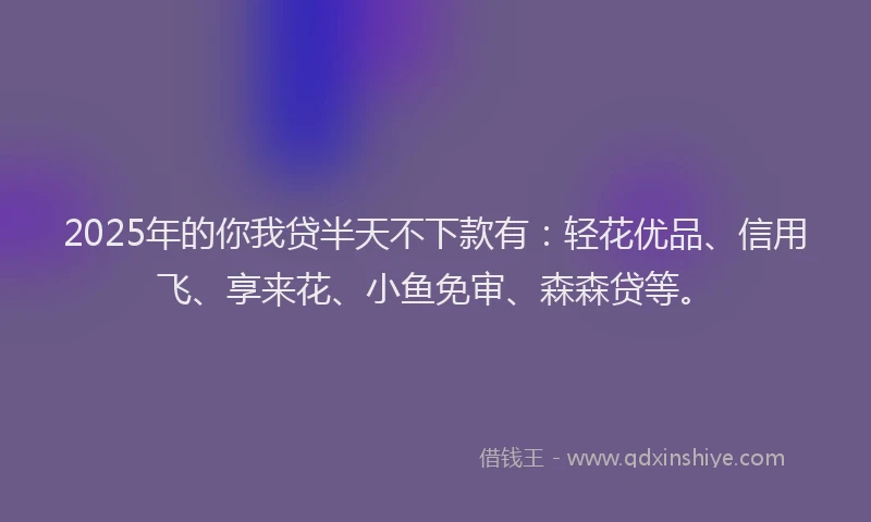 2025年的你我贷半天不下款有：轻花优品、信用飞、享来花、小鱼免审、森森贷等。