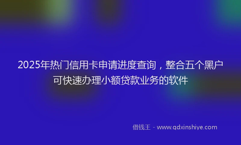 2025年热门信用卡申请进度查询，整合五个黑户可快速办理小额贷款业务的软件