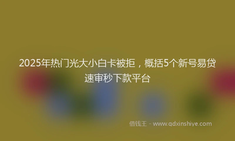2025年热门光大小白卡被拒，概括5个新号易贷速审秒下款平台