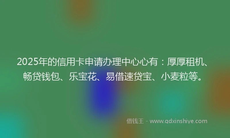 2025年的信用卡申请办理中心心有：厚厚租机、畅贷钱包、乐宝花、易借速贷宝、小麦粒等。