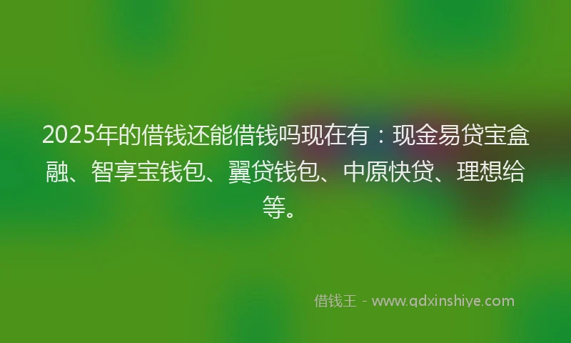 2025年的借钱还能借钱吗现在有：现金易贷宝盒融、智享宝钱包、翼贷钱包、中原快贷、理想给等。