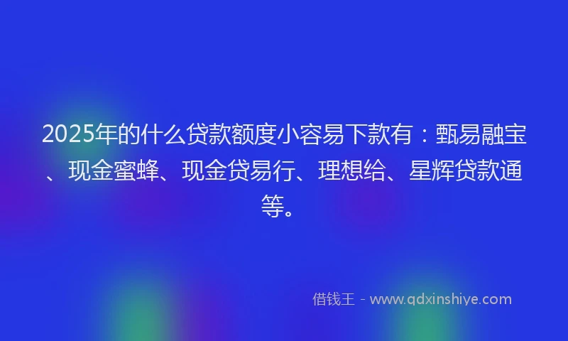 2025年的什么贷款额度小容易下款有：甄易融宝、现金蜜蜂、现金贷易行、理想给、星辉贷款通等。