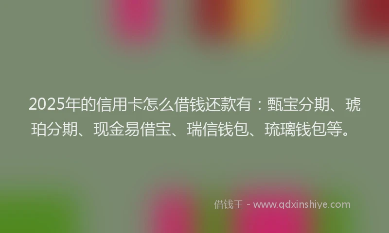 2025年的信用卡怎么借钱还款有：甄宝分期、琥珀分期、现金易借宝、瑞信钱包、琉璃钱包等。