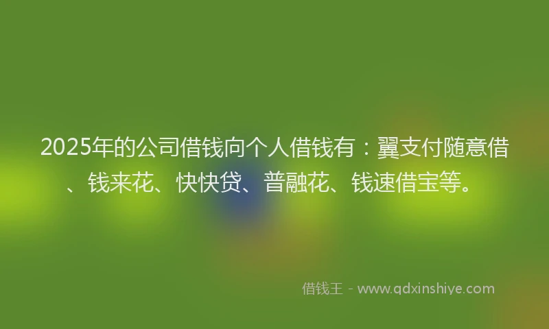 2025年的公司借钱向个人借钱有：翼支付随意借、钱来花、快快贷、普融花、钱速借宝等。