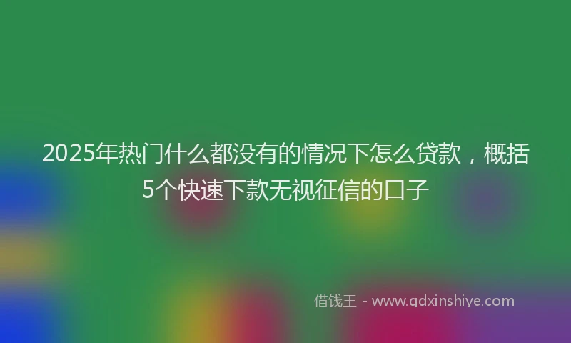 2025年热门什么都没有的情况下怎么贷款，概括5个快速下款无视征信的口子