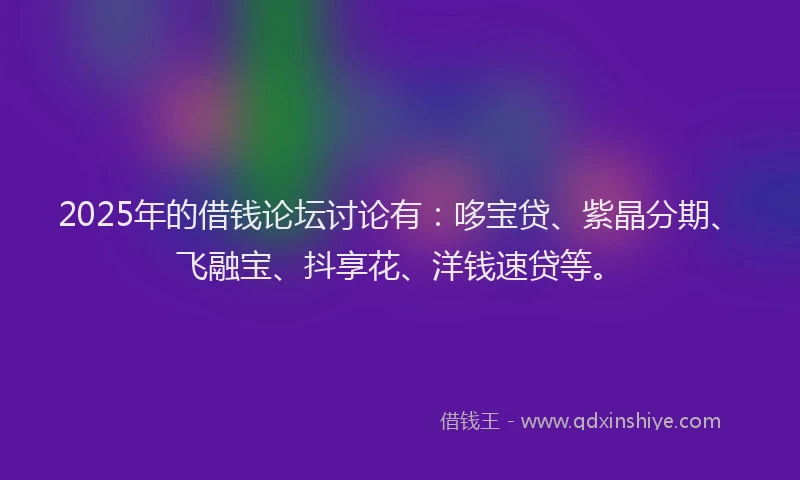 2025年的借钱论坛讨论有：哆宝贷、紫晶分期、飞融宝、抖享花、洋钱速贷等。