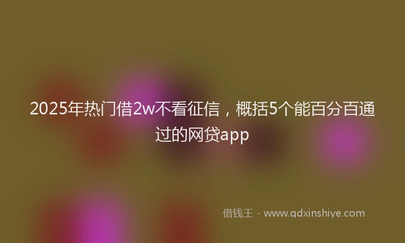 2025年热门借2w不看征信，概括5个能百分百通过的网贷app