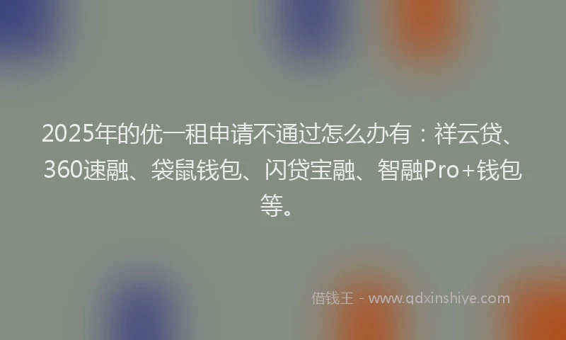 2025年的优一租申请不通过怎么办有：祥云贷、360速融、袋鼠钱包、闪贷宝融、智融Pro+钱包等。