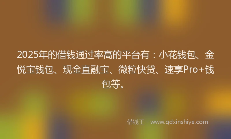 2025年的借钱通过率高的平台有：小花钱包、金悦宝钱包、现金直融宝、微粒快贷、速享Pro+钱包等。