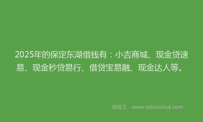 2025年的保定东湖借钱有：小吉商城、现金贷速易、现金秒贷易行、借贷宝易融、现金达人等。