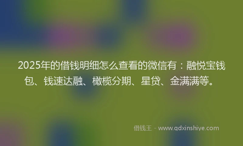 2025年的借钱明细怎么查看的微信有：融悦宝钱包、钱速达融、橄榄分期、星贷、金满满等。
