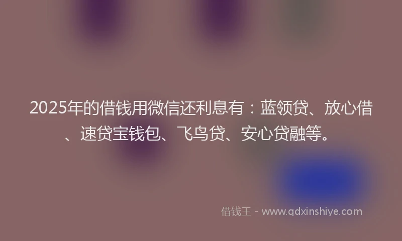 2025年的借钱用微信还利息有：蓝领贷、放心借、速贷宝钱包、飞鸟贷、安心贷融等。