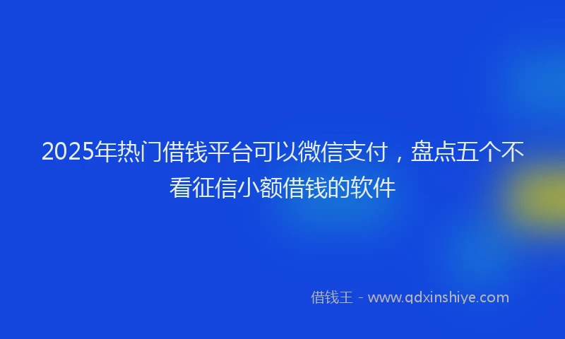 2025年热门借钱平台可以微信支付，盘点五个不看征信小额借钱的软件