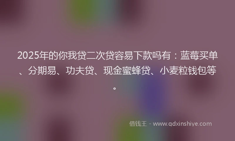 2025年的你我贷二次贷容易下款吗有：蓝莓买单、分期易、功夫贷、现金蜜蜂贷、小麦粒钱包等。