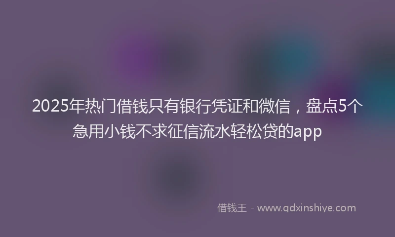 2025年热门借钱只有银行凭证和微信，盘点5个急用小钱不求征信流水轻松贷的app
