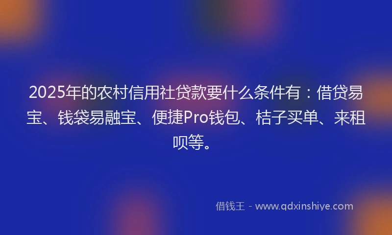 2025年的农村信用社贷款要什么条件有：借贷易宝、钱袋易融宝、便捷Pro钱包、桔子买单、来租呗等。