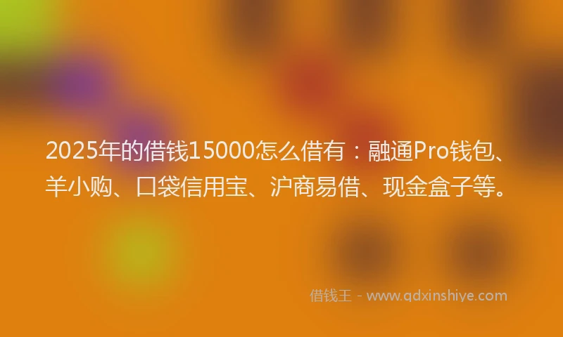 2025年的借钱15000怎么借有：融通Pro钱包、羊小购、口袋信用宝、沪商易借、现金盒子等。