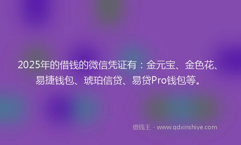 2025年的借钱的微信凭证有：金元宝、金色花、易捷钱包、琥珀信贷、易贷Pro钱包等。