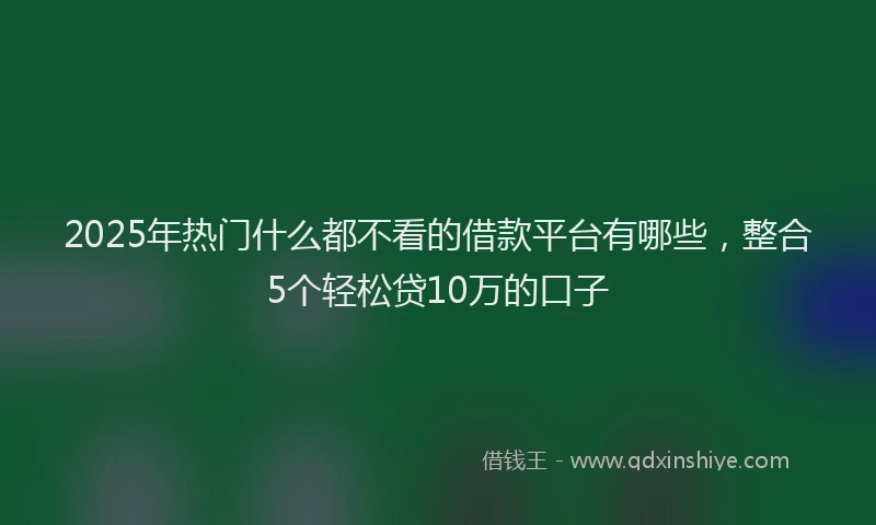 2025年热门什么都不看的借款平台有哪些，整合5个轻松贷10万的口子