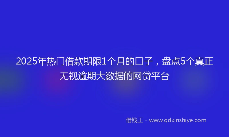 2025年热门借款期限1个月的口子，盘点5个真正无视逾期大数据的网贷平台