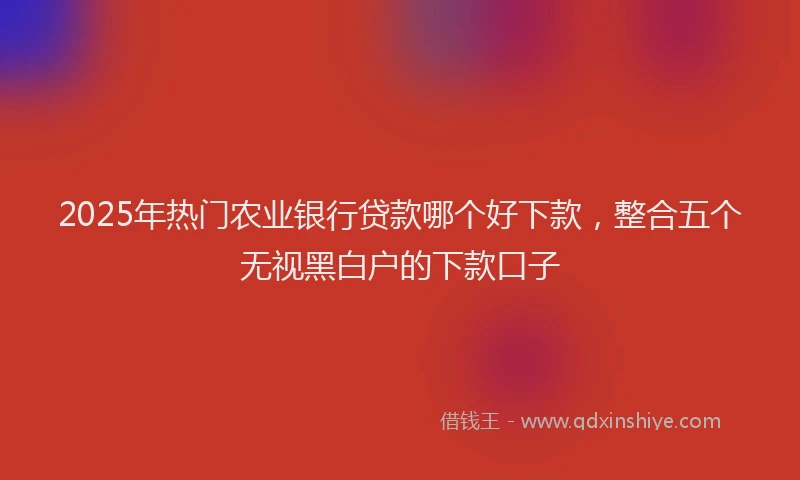 2025年热门农业银行贷款哪个好下款，整合五个无视黑白户的下款口子
