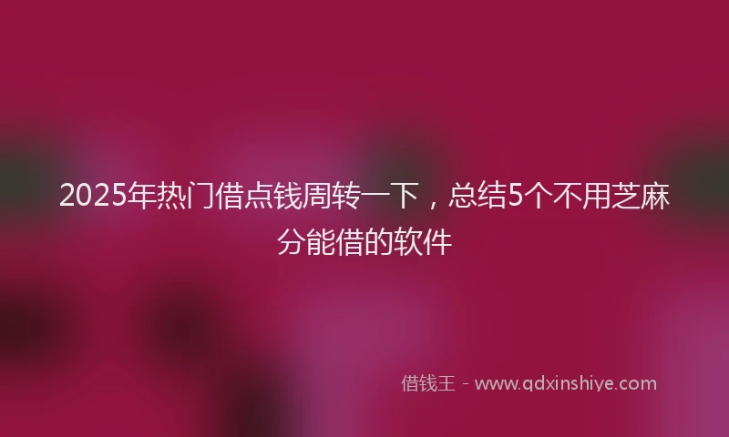 2025年热门借点钱周转一下，总结5个不用芝麻分能借的软件