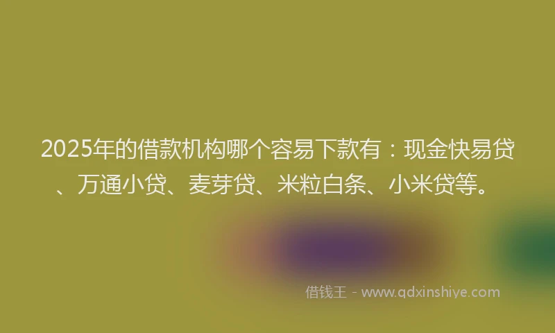 2025年的借款机构哪个容易下款有：现金快易贷、万通小贷、麦芽贷、米粒白条、小米贷等。