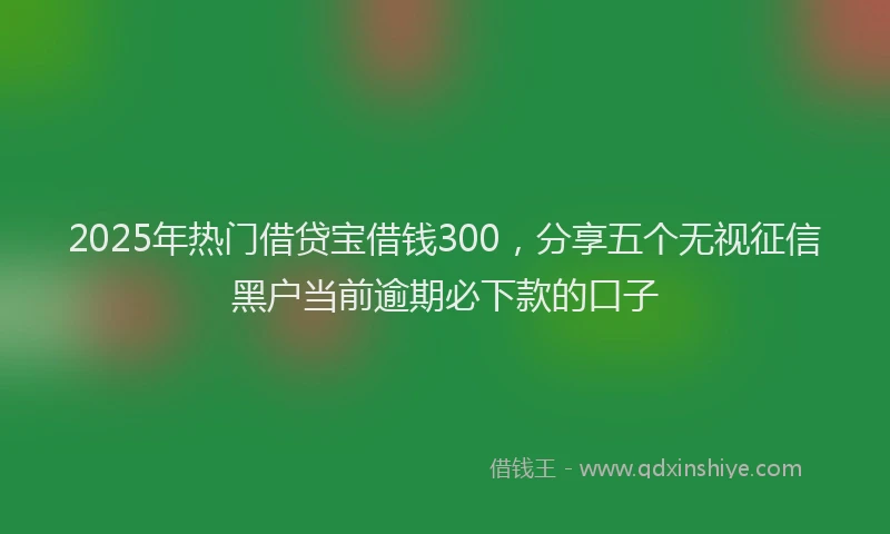 2025年热门借贷宝借钱300，分享五个无视征信黑户当前逾期必下款的口子