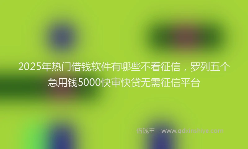 2025年热门借钱软件有哪些不看征信，罗列五个急用钱5000快审快贷无需征信平台