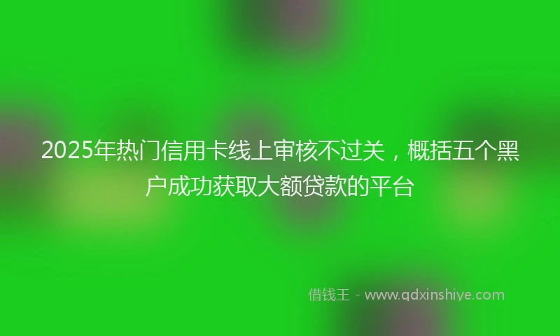 2025年热门信用卡线上审核不过关，概括五个黑户成功获取大额贷款的平台