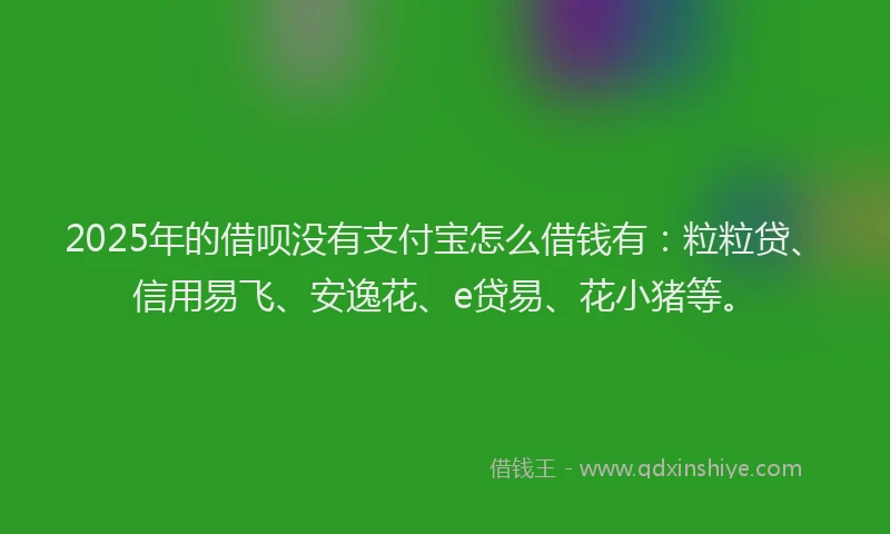 2025年的借呗没有支付宝怎么借钱有：粒粒贷、信用易飞、安逸花、e贷易、花小猪等。